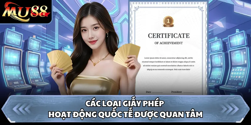Các loại giấy phép hoạt động quốc tế được quan tâm 
